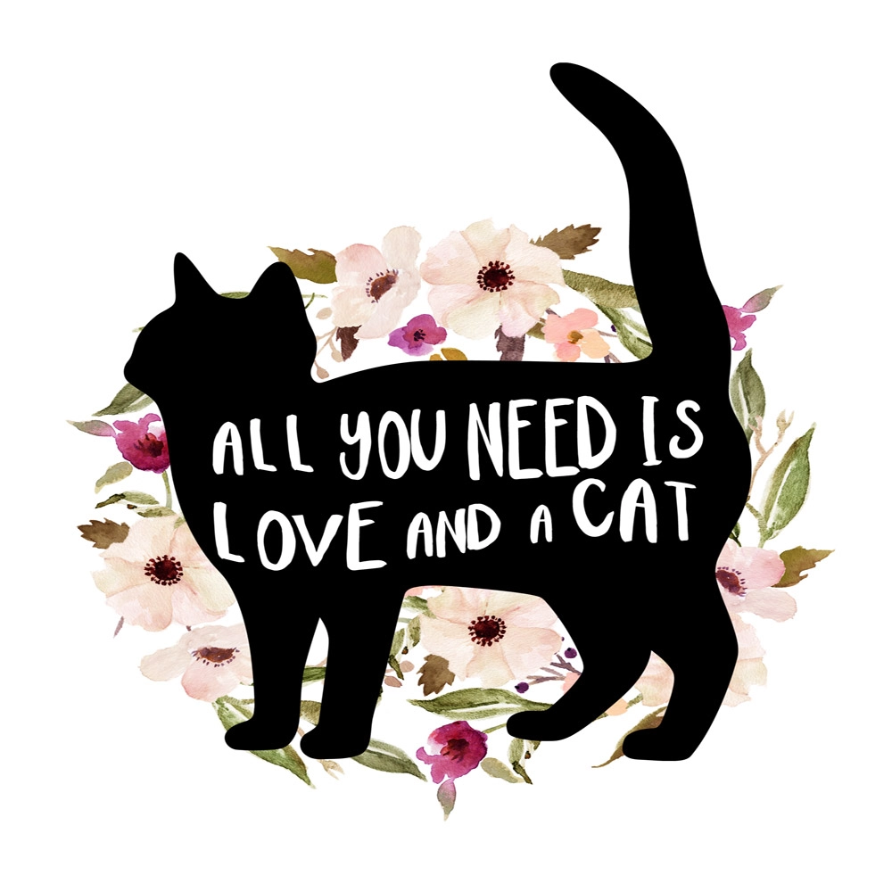 Πίνακας σε καμβά ALL YOU NEED IS LOVE AND A CAT