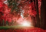 Πινακας σε καμβά AUTUMN MYSTERY ROMANTIC ALLEY