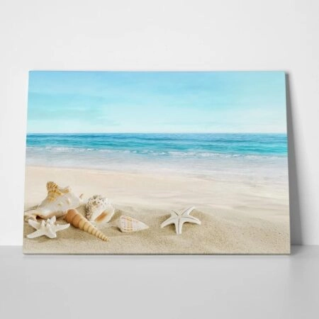 Πινακας σε καμβά BEACH SHELLS - Κοχυλια Sticky 1