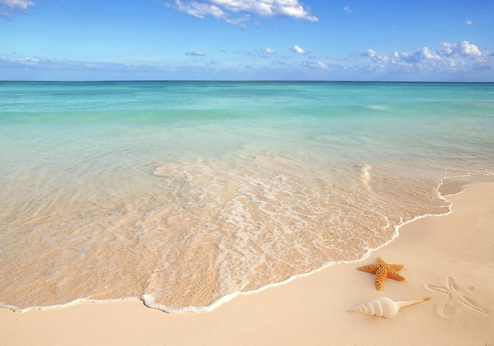 Πινακας σε καμβά CARIBBEAN BEACH
