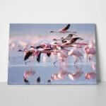 Πινακας σε καμβά FLAMINGOS