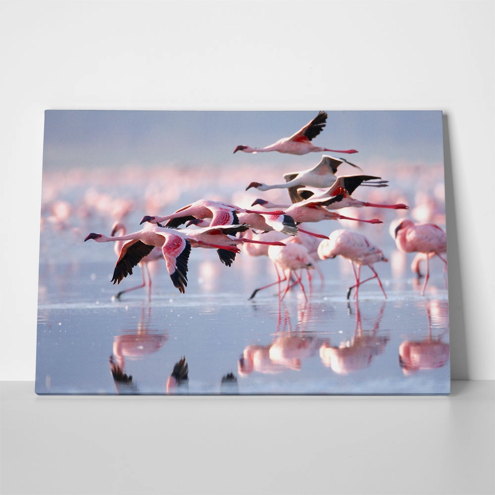 Πινακας σε καμβά FLAMINGOS
