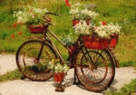 Πινακας σε καμβά FLOWERS BIKE