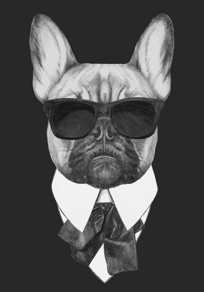 Πινακας σε καμβά FRENCH BULLDOG DOG IN BLACK