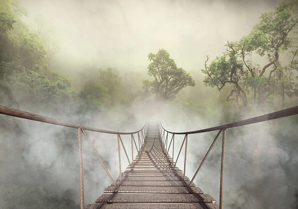 Πινακας σε καμβά JUNGLE BRIDGE
