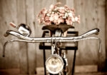 Πινακας σε καμβά LOVE BIKE