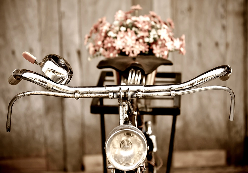 Πινακας σε καμβά LOVE BIKE