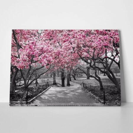 Πινακας σε καμβά PINK BLOSSOM PARK - Ανθη Δεντρων Sticky 1