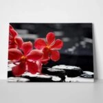 Πινακας σε καμβά RED ORCHID
