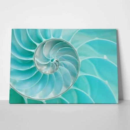 Πινακας σε καμβά SEA SHELL - Κοχυλια Sticky 1