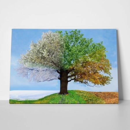 Πινακας σε καμβά 4 SEASONS TREE - Ουρανος - Καιρικα φαινομενα