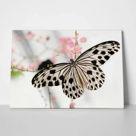 Πινακας σε καμβά BUTTERFLY - Πεταλουδες