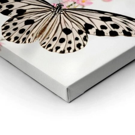 Πινακας σε καμβά BUTTERFLY - Πεταλουδες Sticky 1