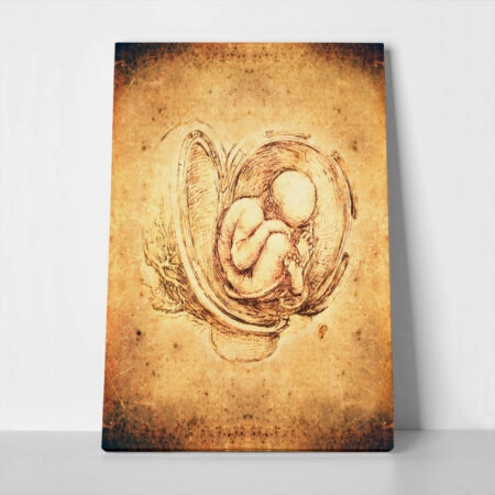 Πινακας σε καμβά DA VINCI - STYLE FETUS