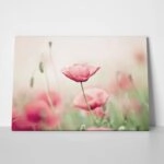 Πινακας σε καμβά POPPY