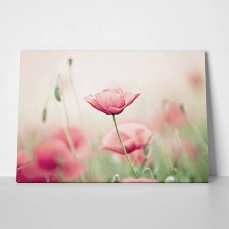 Πινακας σε καμβά POPPY
