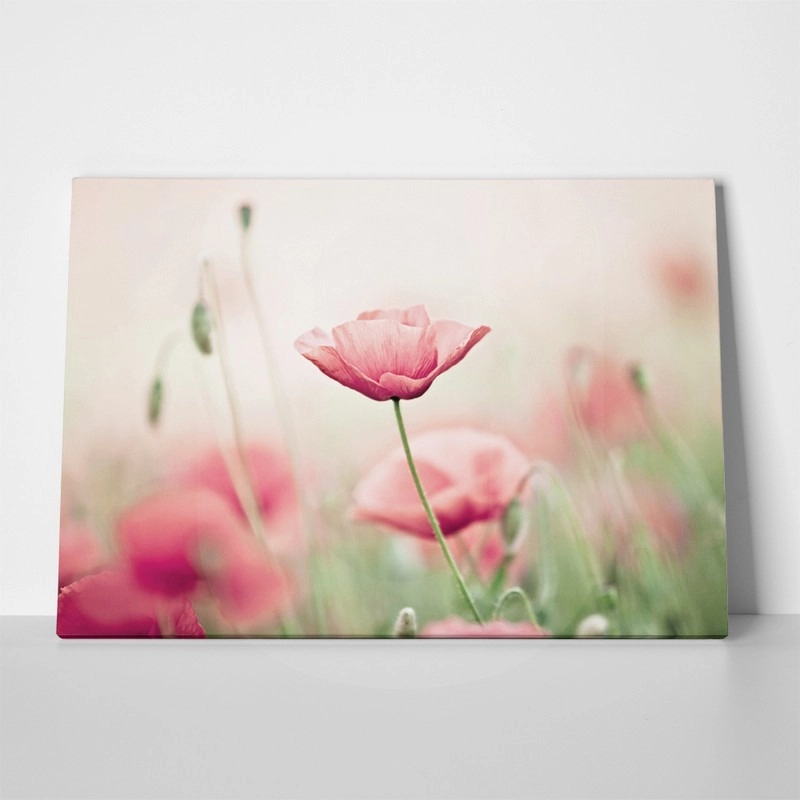 Πινακας σε καμβά POPPY