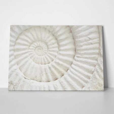 Πινακας σε καμβά PREHISTORIC FOSSIL MACRO