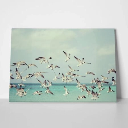Πινακας σε καμβά SEAGULLS OVER SEA