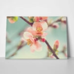 Πινακας σε καμβά SPRING BLOSSOM