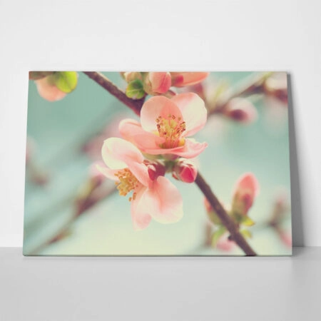 Πινακας σε καμβά SPRING BLOSSOM - Ανθη Δεντρων Sticky 1