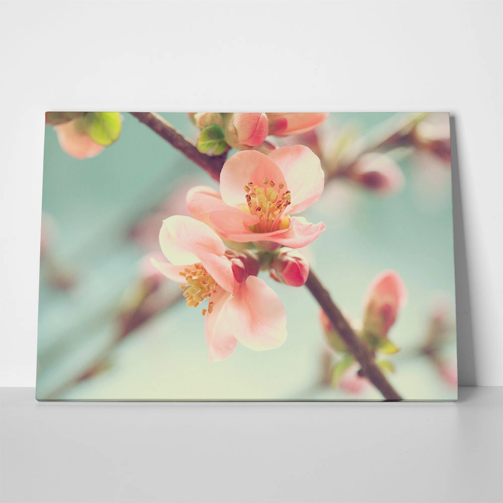 Πινακας σε καμβά SPRING BLOSSOM