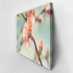 Πινακας σε καμβά SPRING BLOSSOM