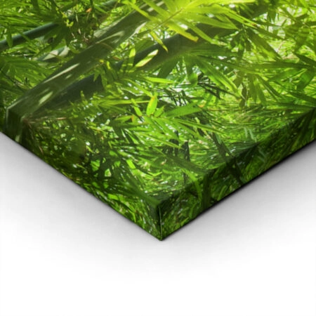 Πινακας σε καμβά BAMBOO 1 - Δασος Sticky 1