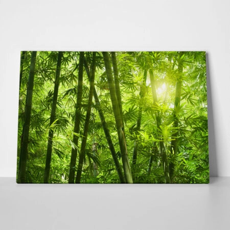 Πινακας σε καμβά BAMBOO 1 - Δασος