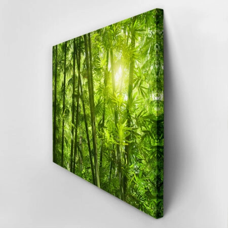 Πινακας σε καμβά BAMBOO 1 - Δασος Sticky 2