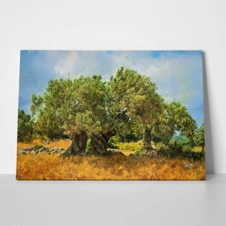 Πινακας σε καμβά OLIVE DRAWING 2