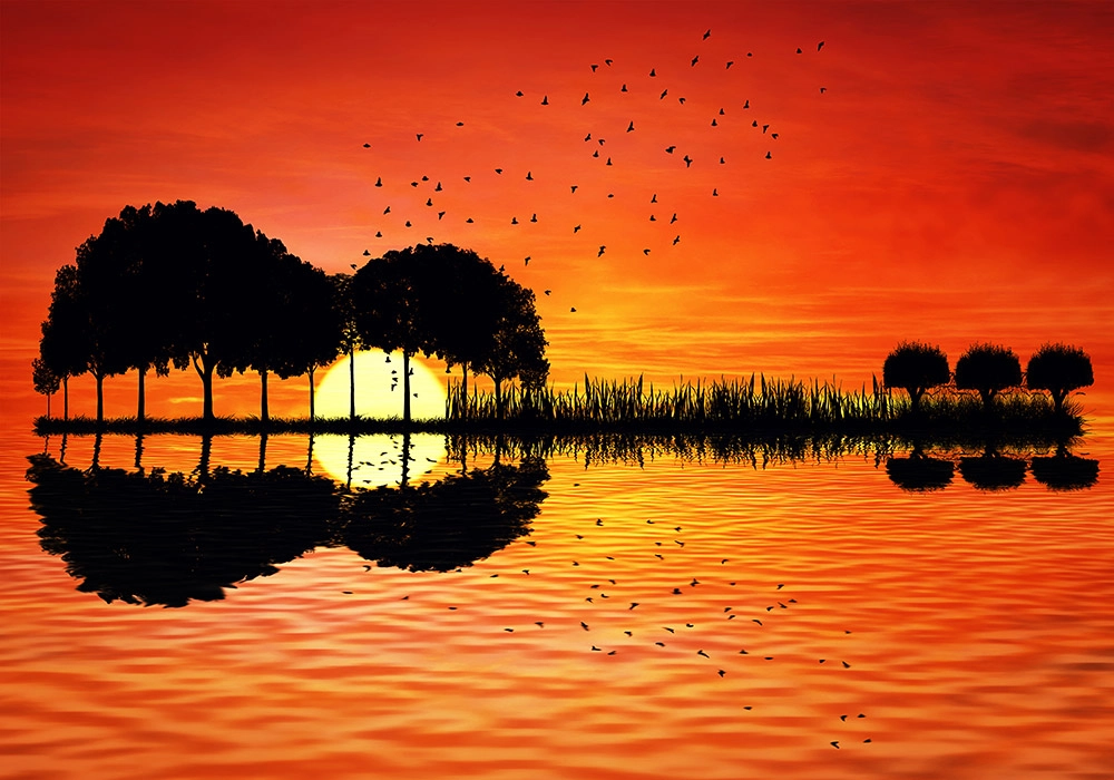 Πινακας σε καμβά REFLECTIONS 40