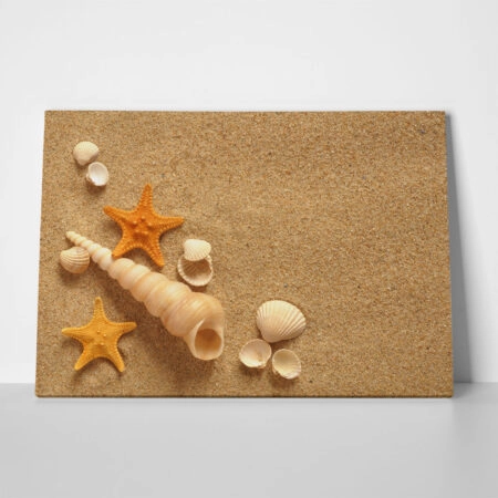Πινακας σε καμβά SAND SHELLS