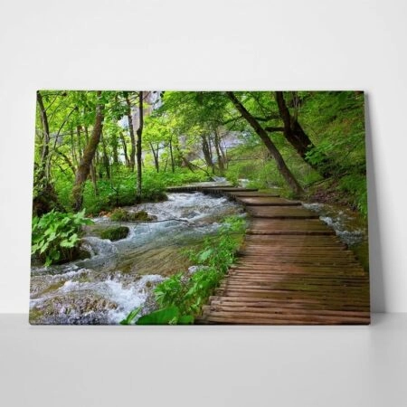 Πινακας σε καμβά WOODEN PATH - Δασος Sticky 1
