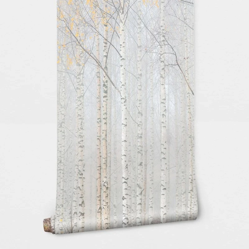 Αυτοκόλλητη Ταπετσαρία τοίχου FOG IN BIRCH FOREST