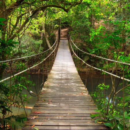 Πινακας σε καμβά BRIDGE TO THE JUNGLE THAILAND - Δασος Sticky 4