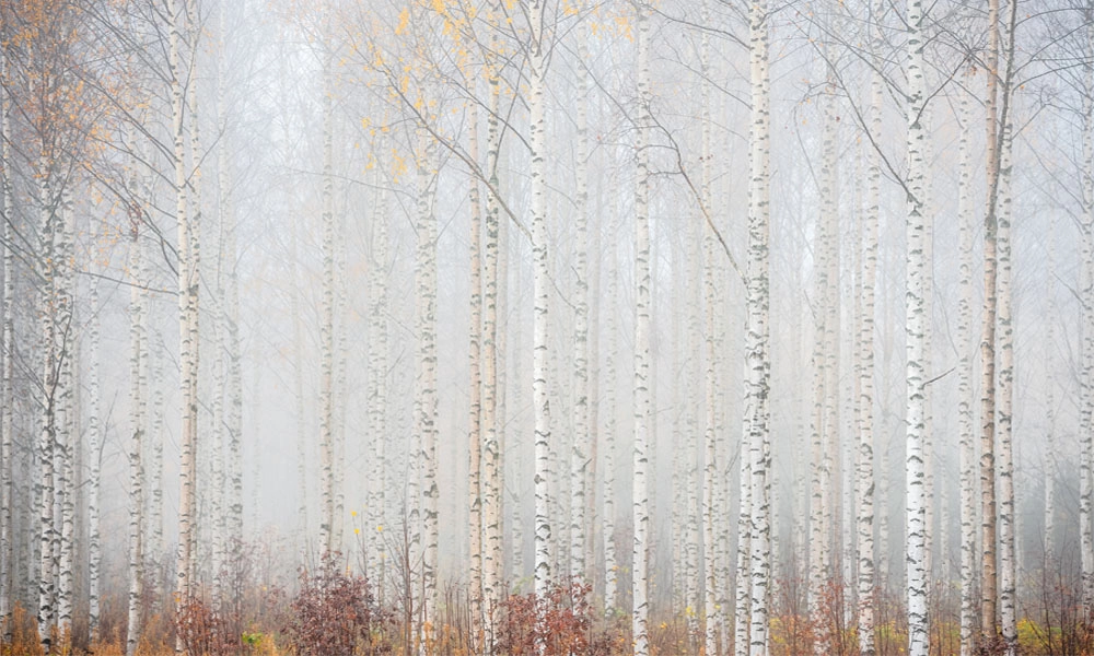 crop image