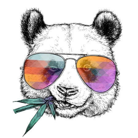 Πίνακας σε καμβά FUNNY PANDA GLASSES - Αρκουδες Sticky 4