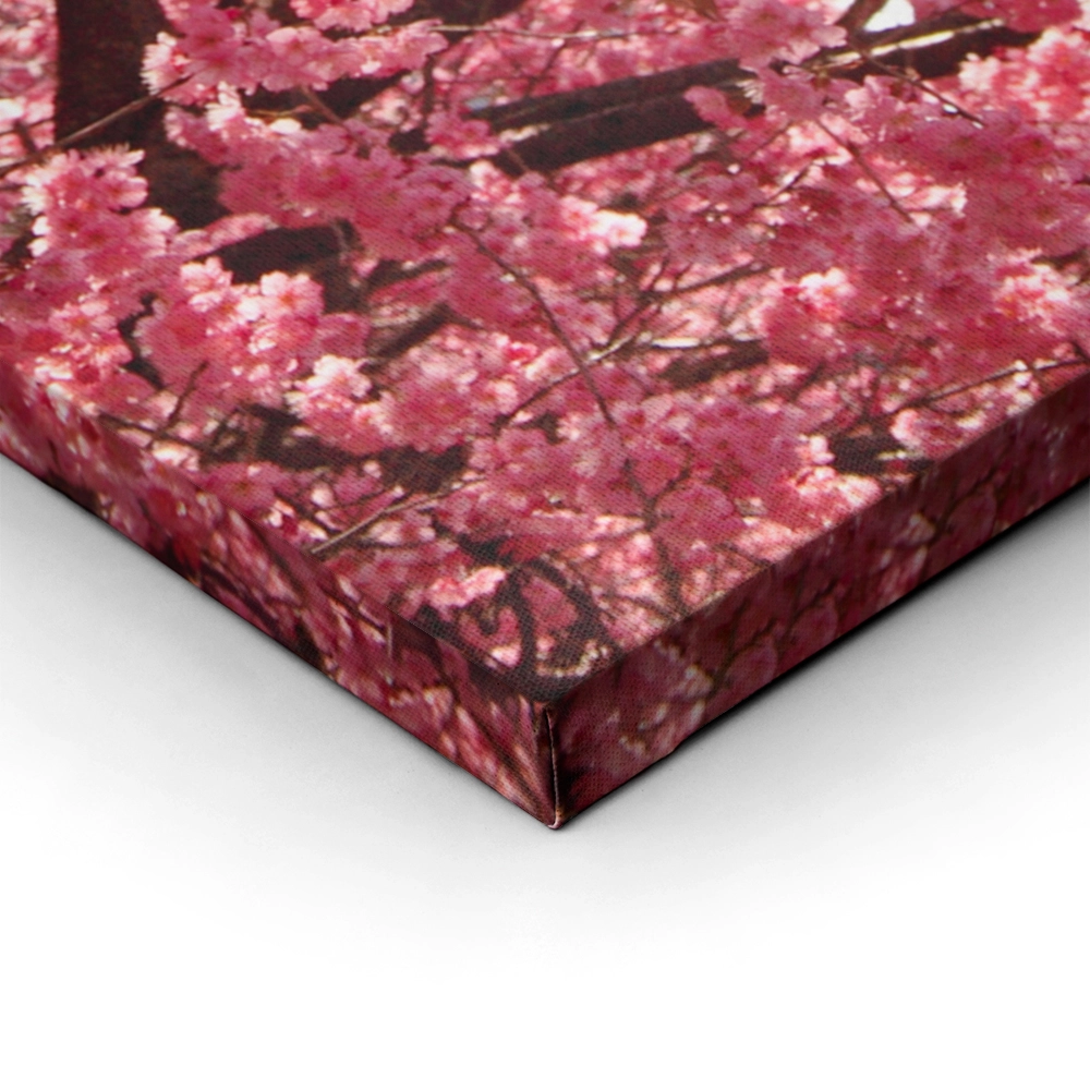 Πινακας σε καμβά PINK BLOSSOM