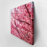 Πινακας σε καμβά PINK BLOSSOM