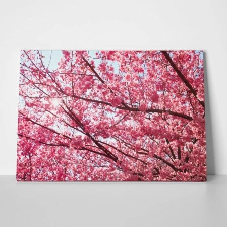 Πινακας σε καμβά PINK BLOSSOM