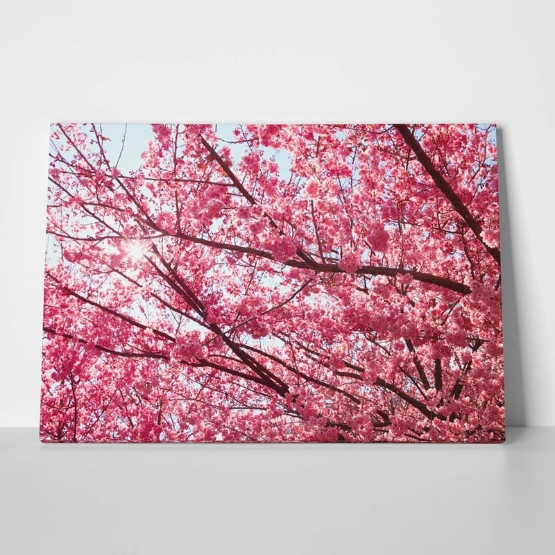 Πινακας σε καμβά PINK BLOSSOM