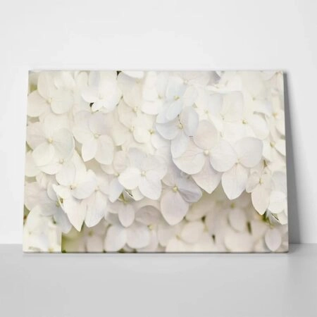 Πινακας σε καμβά WHITE HYDRANGEA FLORAL BACKGROUND