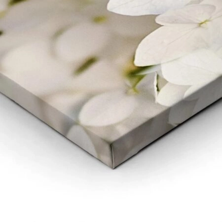 Πινακας σε καμβά WHITE HYDRANGEA FLORAL BACKGROUND - Floral - Λουλουδια Sticky 1