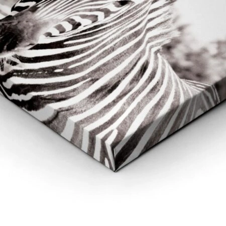 Πίνακας ZEBRA - Ζεμπρες Sticky 1