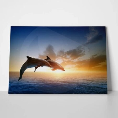 Πινακας σε καμβά JUMPING DOLPHINS