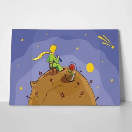 Πινακας σε καμβά LITTLE PRINCE LOOKING STARS