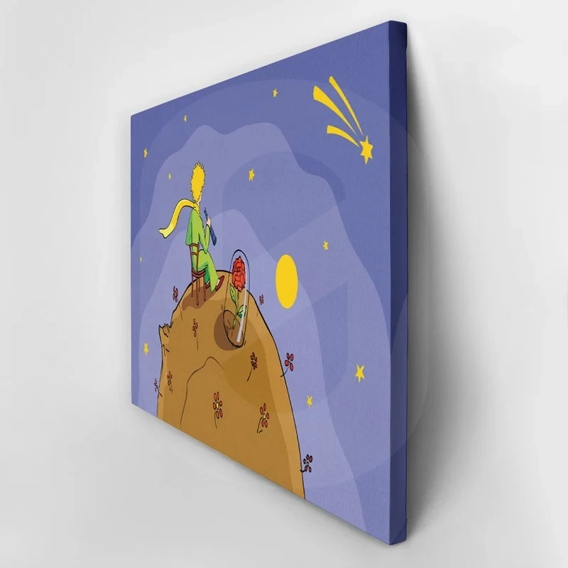 Πινακας σε καμβά LITTLE PRINCE LOOKING STARS