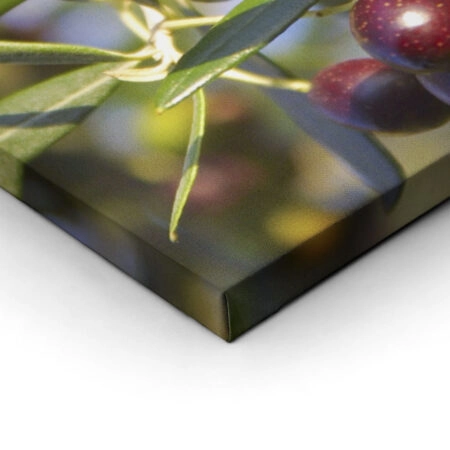 Πινακας σε καμβά OLIVES - Botanical - Φυτα Sticky 1