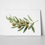 Πινακας σε καμβά OLIVE BRANCH